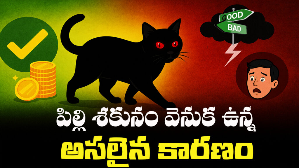 Significance of a cat crossing the path (Pilli Sakunam) in traditional Indian beliefs.