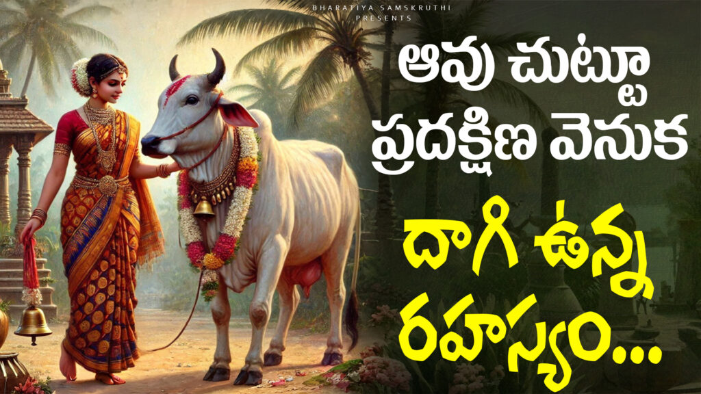 Devotees performing Go Pradakshina, circumambulating a sacred cow with devotion.